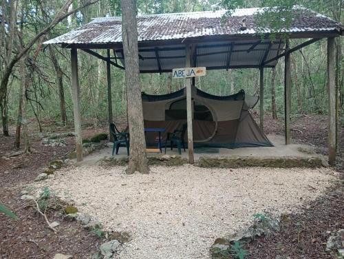 a gazebo with a tent in the woods at Campamento Yaax Che en Calakmul in Conhuas