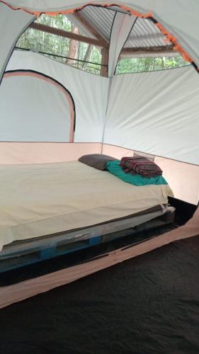 a bed sitting inside of a tent at Campamento Yaax Che en Calakmul in Conhuas