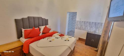 a bedroom with a bed with orange pillows at Neo & Ruks Guest Houses Boston Belleville 5 in Bellville