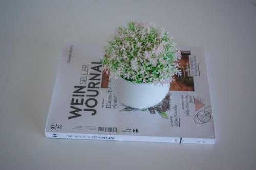 a potted plant sitting on top of a magazine at Hayce Residence Ocean View Apartment in Kilifi