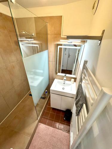 une petite salle de bain avec un lavabo et une douche dans l'établissement La Terrasse des Capucins, à Marseille