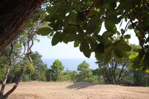 Φυσικό τοπίο κοντά σε αυτό το κάμπινγκ