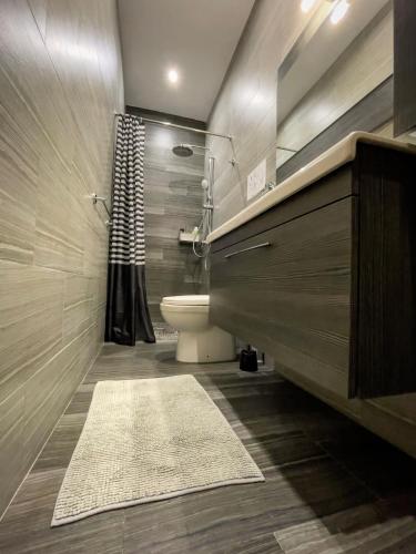 a bathroom with a toilet and a shower at Great Siege Apartment in Senglea