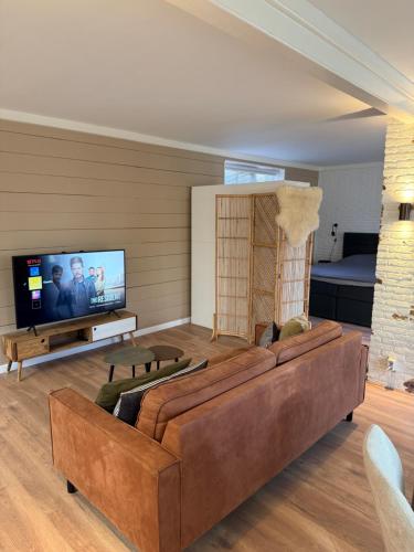 a living room with a brown couch and a television at Spacious 70m2 apartment in city centre with lovely terrace in Alkmaar