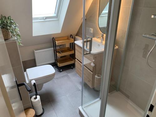 een badkamer met een toilet, een wastafel en een douche bij Ferienwohnung Wolkenplatz in Winterberg