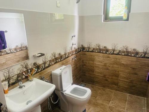 Un baño con un inodoro blanco y un lavabo. en kurunegala deco apartement, en Kurunegala