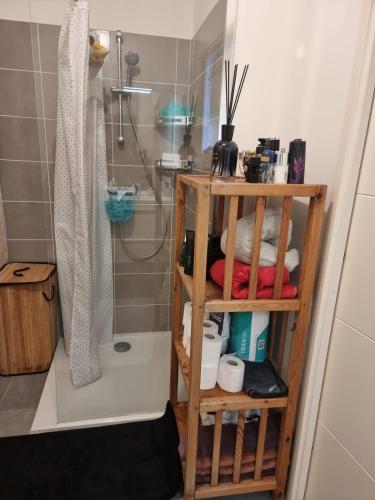 La salle de bains est pourvue d'une douche et d'une étagère avec des serviettes. dans l'établissement Peace and quiet, à Cannes