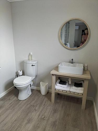 a bathroom with a toilet and a sink and a mirror at Stayawhile Unit 2 in Colesberg