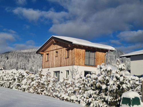 a house in the snow with snow covered bushes at Haus Alpengruss in Heiterwang
