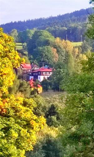a group of houses on a hill with trees at Pension Helene s mini pivovarem in Kytlice