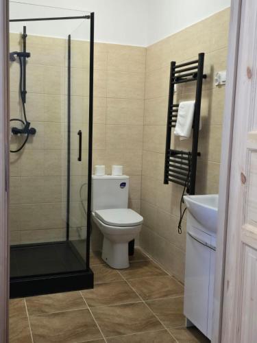 a bathroom with a toilet and a shower and a sink at Zamek Międzylesie in Międzylesie