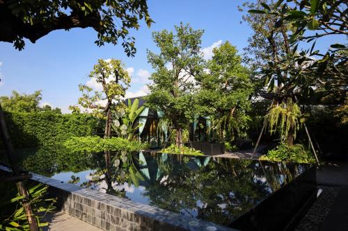 a pool in the middle of a garden with trees at Baan Chiang Dao in Chiang Dao