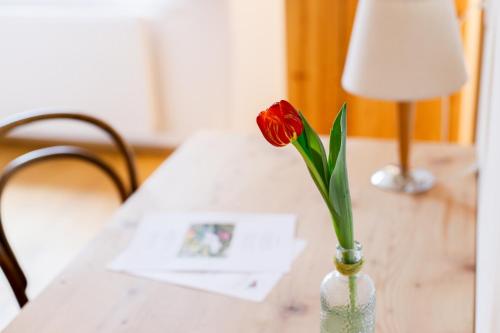 a red flower in a vase on a table at Gasthof Adler in Doren