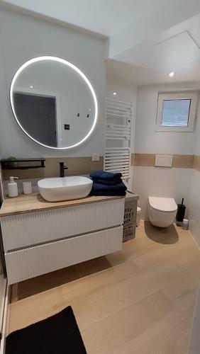 une salle de bain avec un lavabo, des toilettes et un miroir dans l'établissement Beau T2 refait à neuf, à Brides-les-Bains