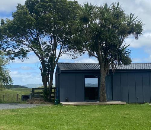 a blue shed with a palm tree in a yard at Relaxing Rural Retreat in Huntly