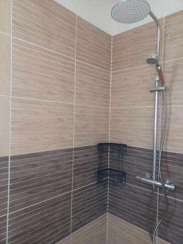 une salle de bain avec une douche avec pommeau de douche dans l'établissement Maison de vacances 6 personnes, à Muron