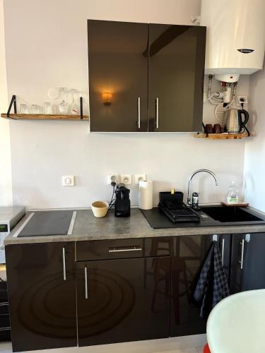une cuisine avec un évier et un plan de travail dans l'établissement Studio Suquet avec Parking, à Cannes