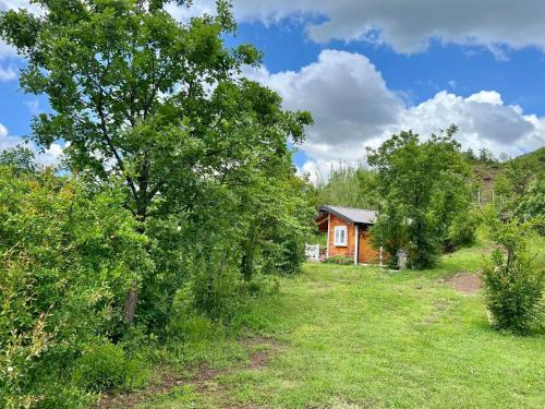 a small house in a field next to trees at Baven -Toven Naturae in Rubik