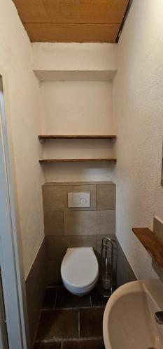 a small bathroom with a toilet and a sink at Ruhige Gartenwohnung in Ketsch