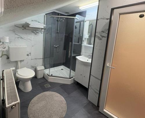 a bathroom with a shower and a toilet and a sink at Pensiunea Monady in Zărneşti