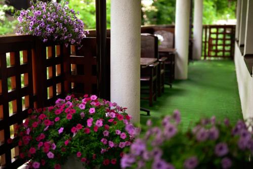 a balcony with purple flowers on a porch at Hotel Promyk Wellness & Spa in Karpacz