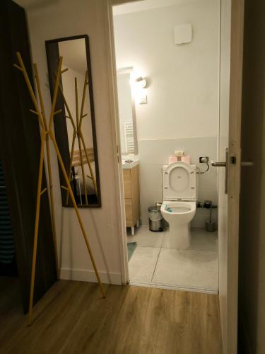 une salle de bain avec toilettes et miroir dans l'établissement t2 spacieux proche zénith&aéroport&purpan, à Toulouse