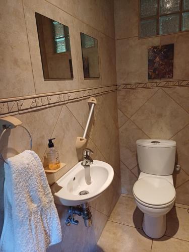 a bathroom with a toilet and a sink at A Jungle House in Somerset West