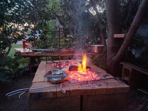 a grill with a pot and a pan on fire at A Jungle House in Somerset West
