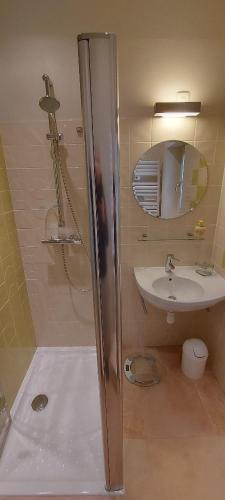 une salle de bain avec douche et lavabo dans l'établissement Chambre d'hôtes de l'Estrée, à Lésigny