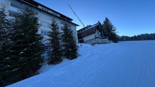 a building in the snow with trees in front of it at Sonnenalpe Nassfeld in 1500 m Höhe an der Skipiste in Sonnenalpe Nassfeld