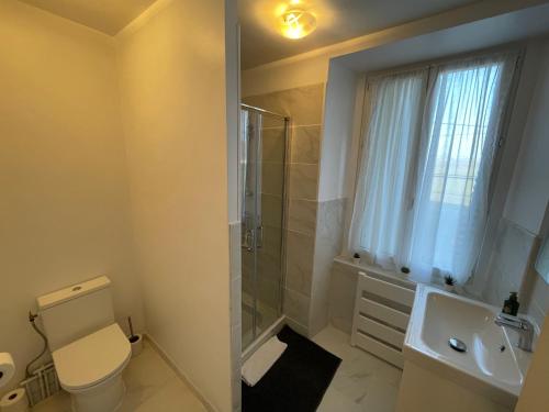 a bathroom with a shower and a toilet and a sink at La Grande Maison in Pas-de-Jeu