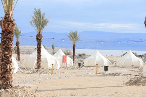 a group of tents in the desert with palm trees at Tamar Land in Kalia
