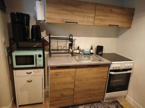 une petite cuisine avec un évier et un micro-ondes dans l'établissement Ty Bihan, au Mans