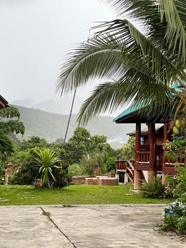 Phong cảnh thiên nhiên gần nhà khách