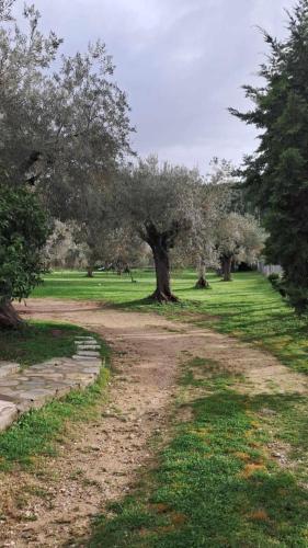 Gallery image of Meerithic ROKKA ROOMS in Vourvourou