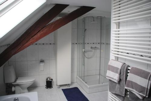 a bathroom with a shower and a toilet at Bed & Breakfast Bloemen Vertellen in Elst