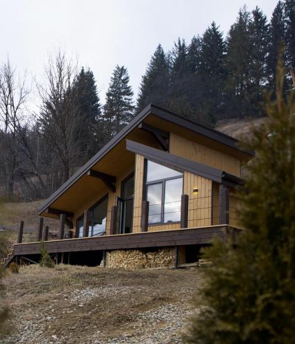 a house on the side of a hill with trees at Petrick House in Verkhovyna