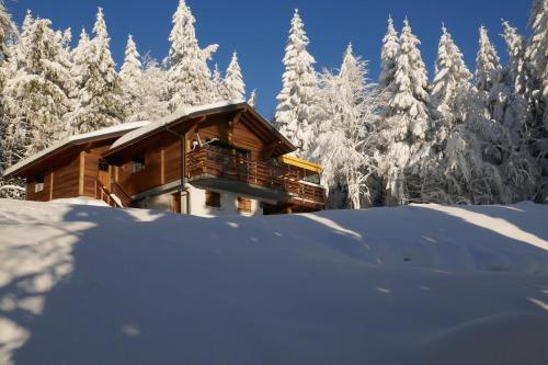La Sérotine Chalet GERARDMER