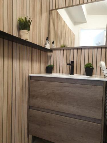 La salle de bains est pourvue d'un lavabo avec des plantes en pot sur le mur. dans l'établissement Hyères - Centre Ville - Private parking, à Hyères