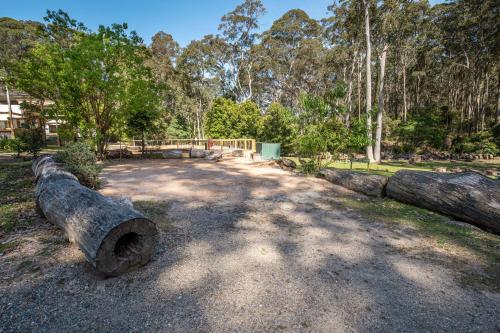 a group of logs on the ground in a park at Durras Lake North Holiday Park in Durras