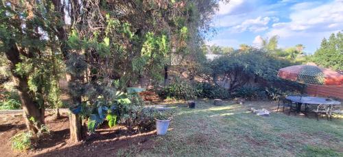 a garden with a large tree and a picnic table at Jukskei Big5 - Rhino in Fourways