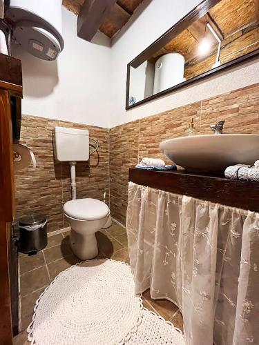 a bathroom with a toilet and a sink at Vila Bella Vista in Gornja Brusovača