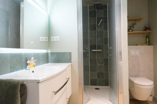 une salle de bain avec une douche avec un lavabo et des toilettes dans l'établissement Appartement 2 Queenbed parking clim wifi, à Aix-en-Provence