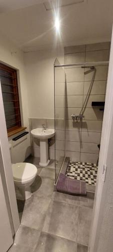 a bathroom with a shower and a toilet and a sink at Jukskei Big5 - Lion in Fourways