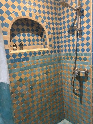 a shower in a bathroom with a tiled wall at Riad Dar Dayana in Essaouira