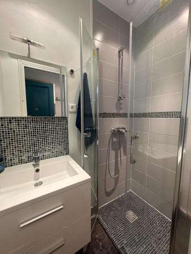 une salle de bain avec un lavabo et une douche dans l'établissement Private apartment 2 minutes from Zenith de Paris, à Paris