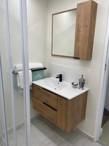 a bathroom with a sink and a mirror and a shower at The Cottage - a tranquil hideaway in Somerset West