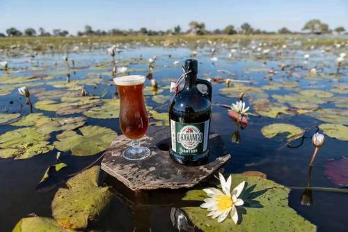 a bottle and a glass of beer on a stick in a pond at Jayla Homestay in Maun