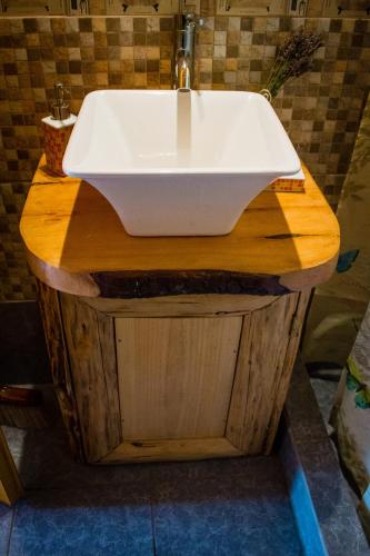a white sink on a wooden counter in a bathroom at Chacra CheSuiza in Epuyén