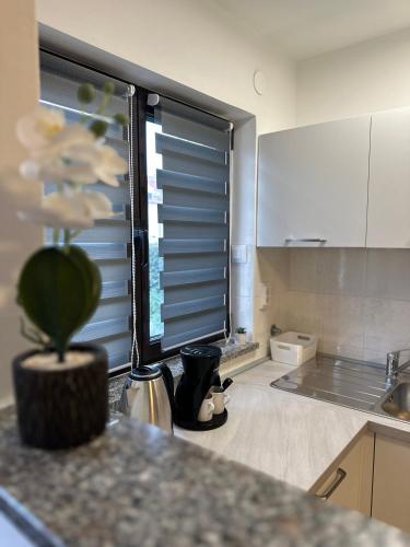 a kitchen with a window with a plant in a counter at Apartment Bilić in Pula